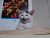 201109_14_64_a0059664_12305013.jpg